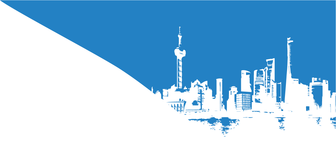 Shanghai Skyline